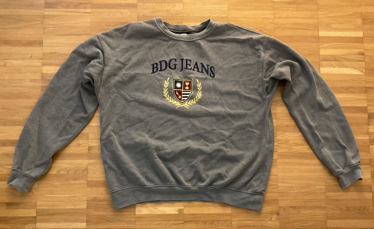 Urban Outfitters Maglioni & Felpe: BDG Jeans Sweater – Usato da Weiach venduto da deb_7zrg