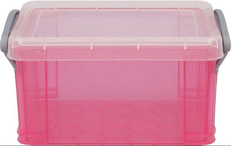 Contenitori & Simili: Really Useful Box Kunststoffboxen 0,3 Liter Rosa – Nuovo (secondo la descrizione) da Muttenz venduto da Gepard23 1