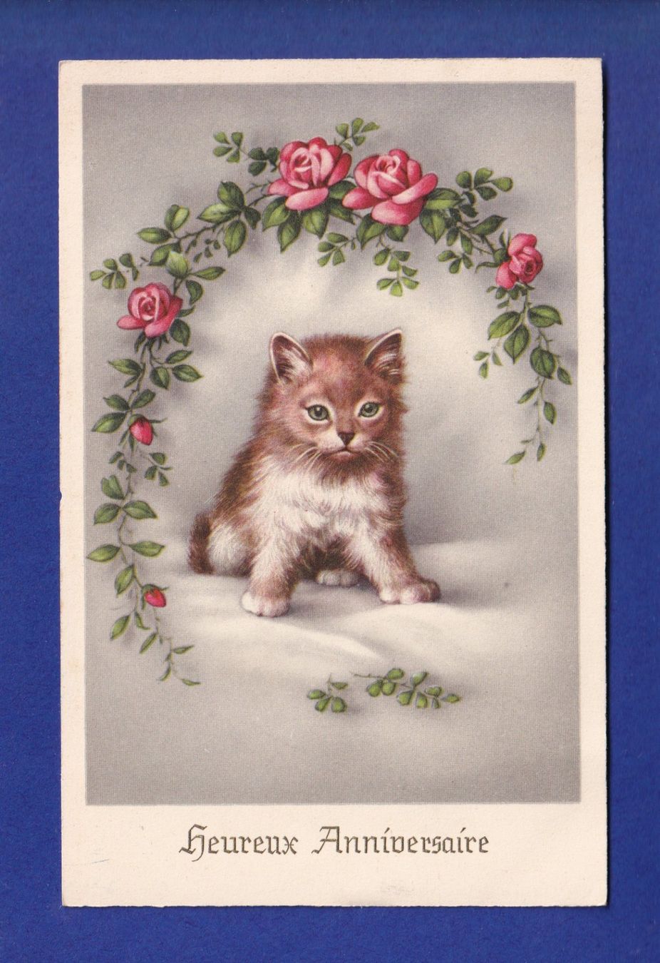 Cartes postales: CHAT et roses – D'occasion à Pully par nicecards-shop