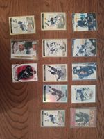 Div. Karten 13 Stk Team Tampa Bay Lightning