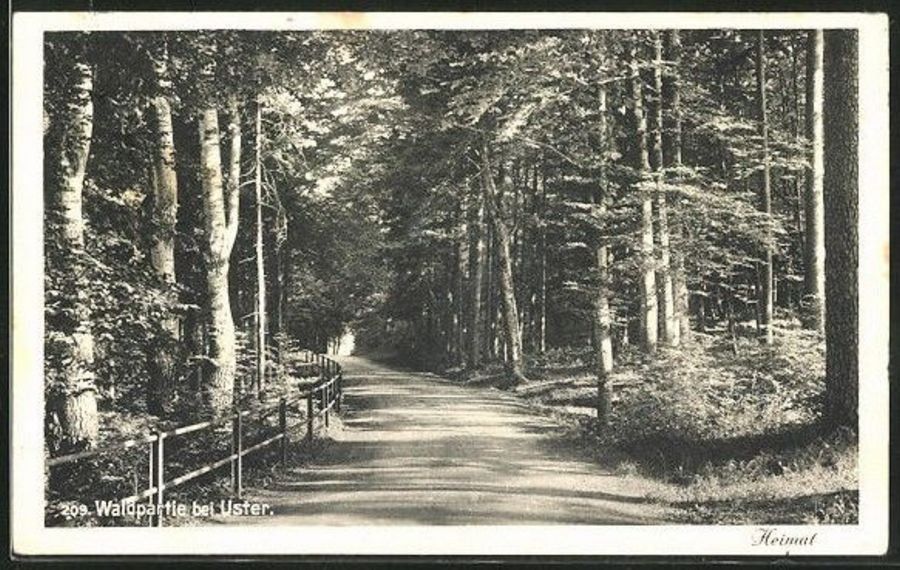 Cartoline postali: Waldpartie bei Uster, gelaufen 1925 – Usato da Frauenfeld venduto da POML