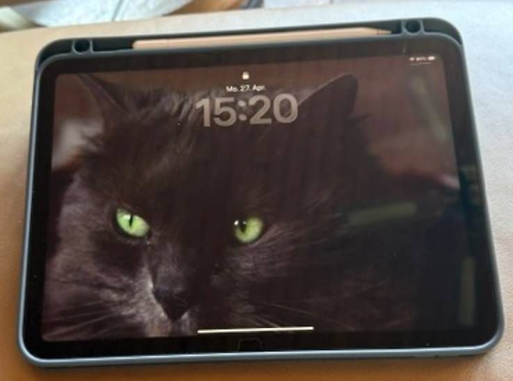 Apple Tablet PC: apple A16  Version 26.4.2 – Nuovo (secondo la descrizione) da rotkreuz venduto da Poker47 3
