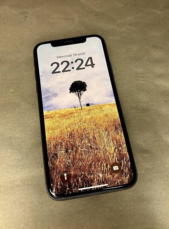 Handys / Smartphones: Iphone X 256GB schwarz – Gebraucht aus Oberengstringen von spifr 4