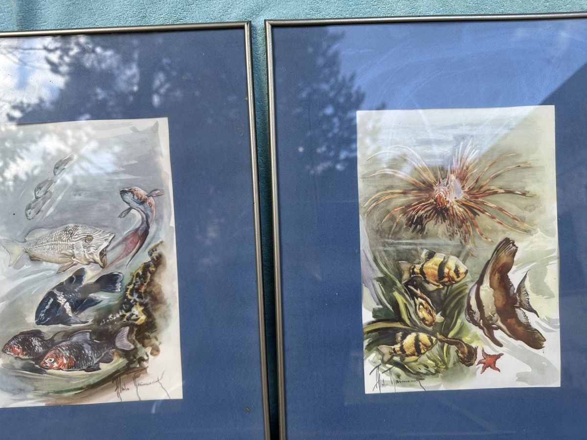 Dipinti: 2 Aquarelles poissons signées . – Usato da Lausanne venduto da artnouveau04 5