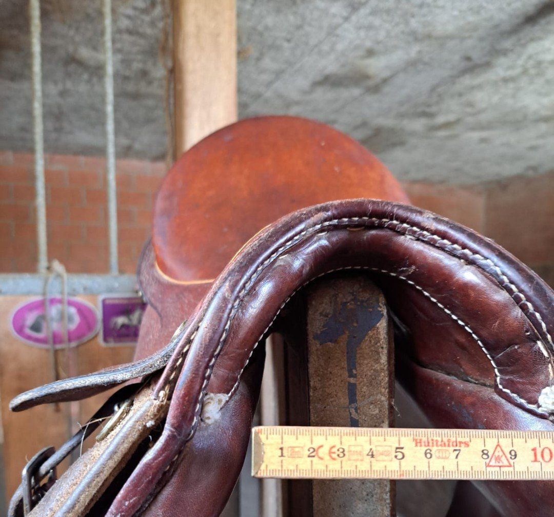 Selle & Accessori: Reitsattel – Usato da Leimiswil venduto da lor_2rlj 4