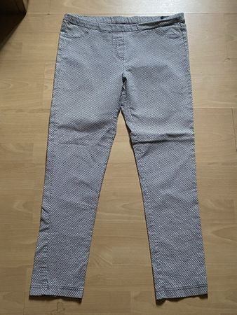Hose