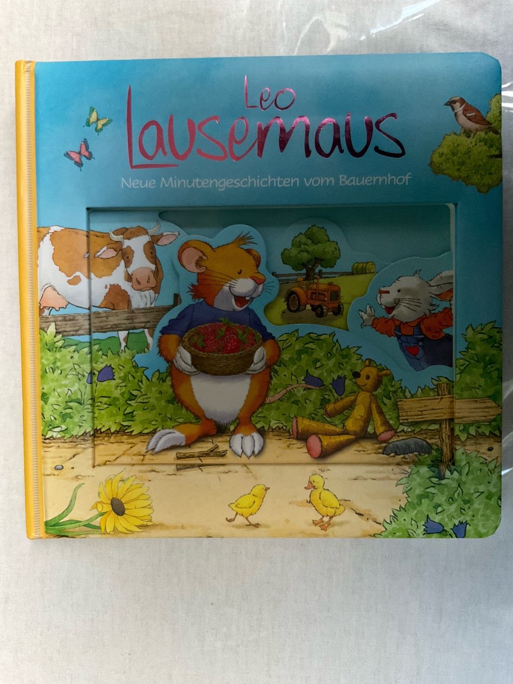 Livres: Leo Lausemaus Kinderbuch – D'occasion à Dinhard par R.B.G23