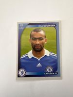 Panini UEFA Champions League 2008-2009 - Nr. 234