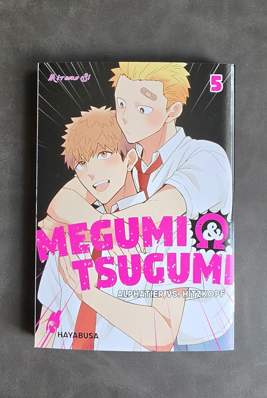 Comics: Megumi & Tsugumi Manga Band 5, Boys Love, Top Zustand! – Neu (gemäss Beschreibung) aus Turgi von Swissrico08