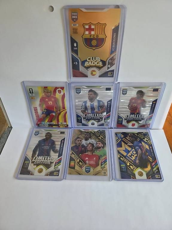 Cartoline: Panini FIFA 365 – Nuovo (secondo la descrizione) da Holziken venduto da Niko9304