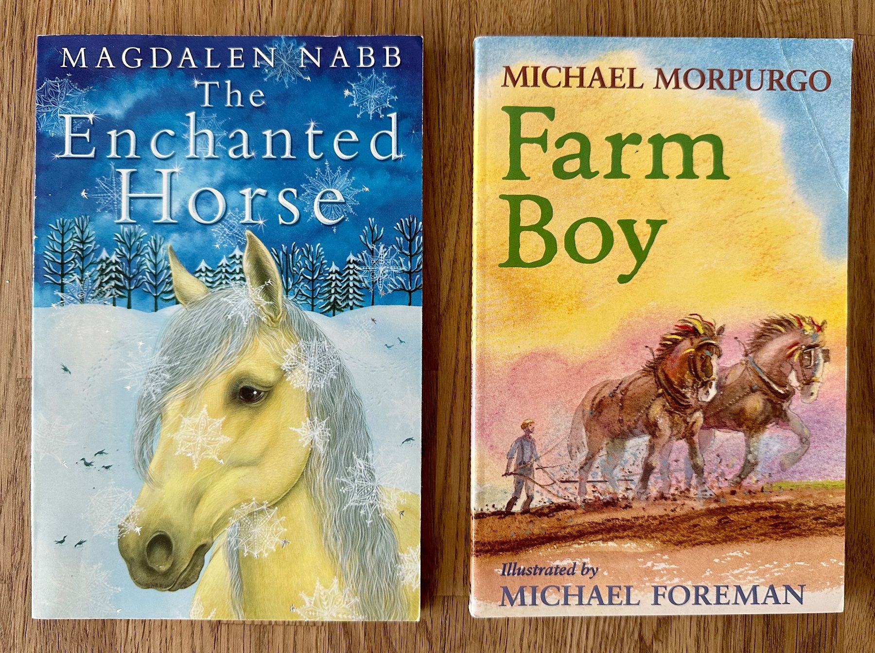 Libri: 2 English books – Usato da Amriswil venduto da Mat08