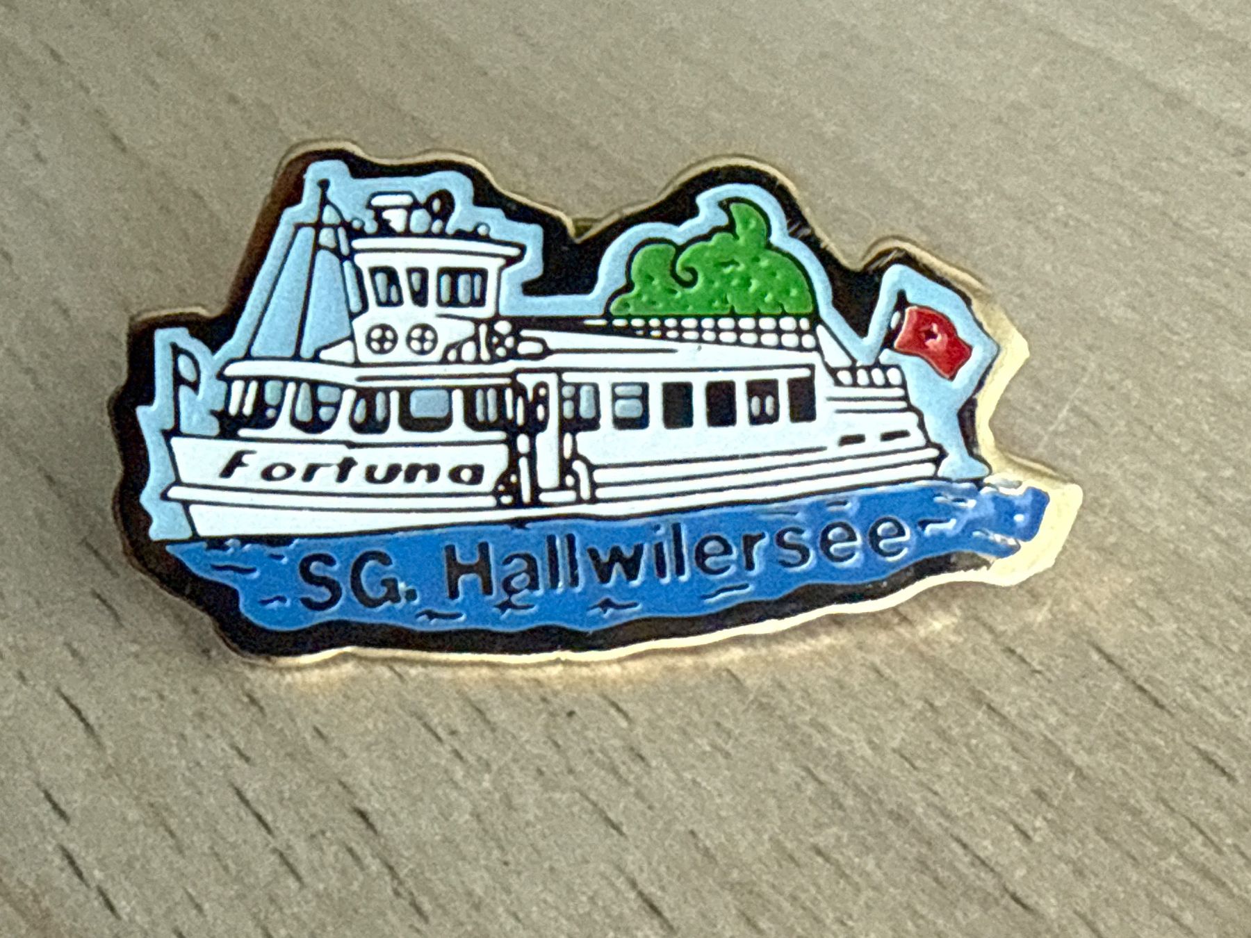Plaketten & Abzeichen: Pin SG. Hallwilersee – Gebraucht aus Glattbrugg von Schweigmatt