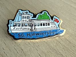 Pin SG. Hallwilersee