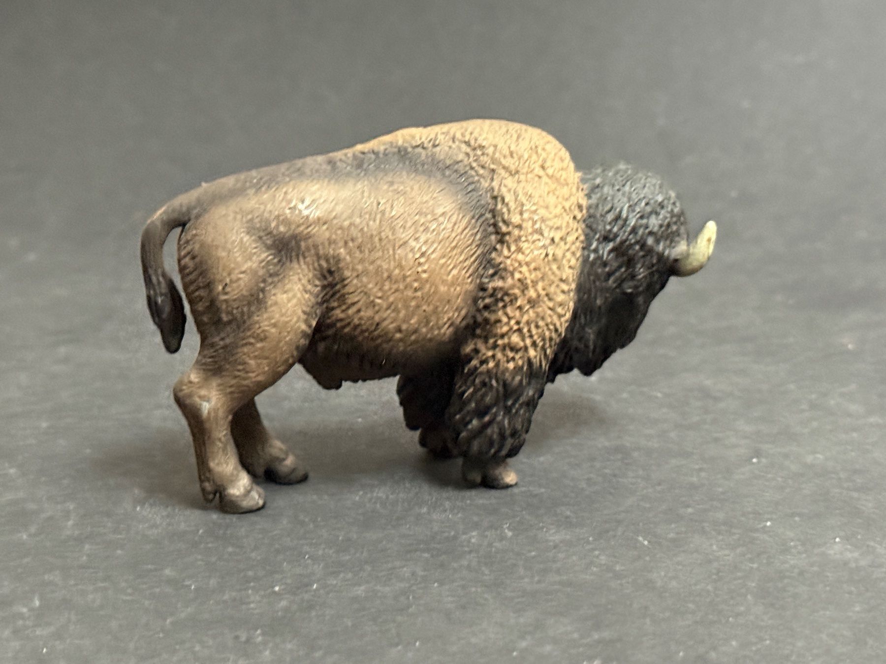 Schleich Statuette: 3 verschiedene Bison Schleich – Nuovo (secondo la descrizione) da Ennetbaden venduto da mapa05 3