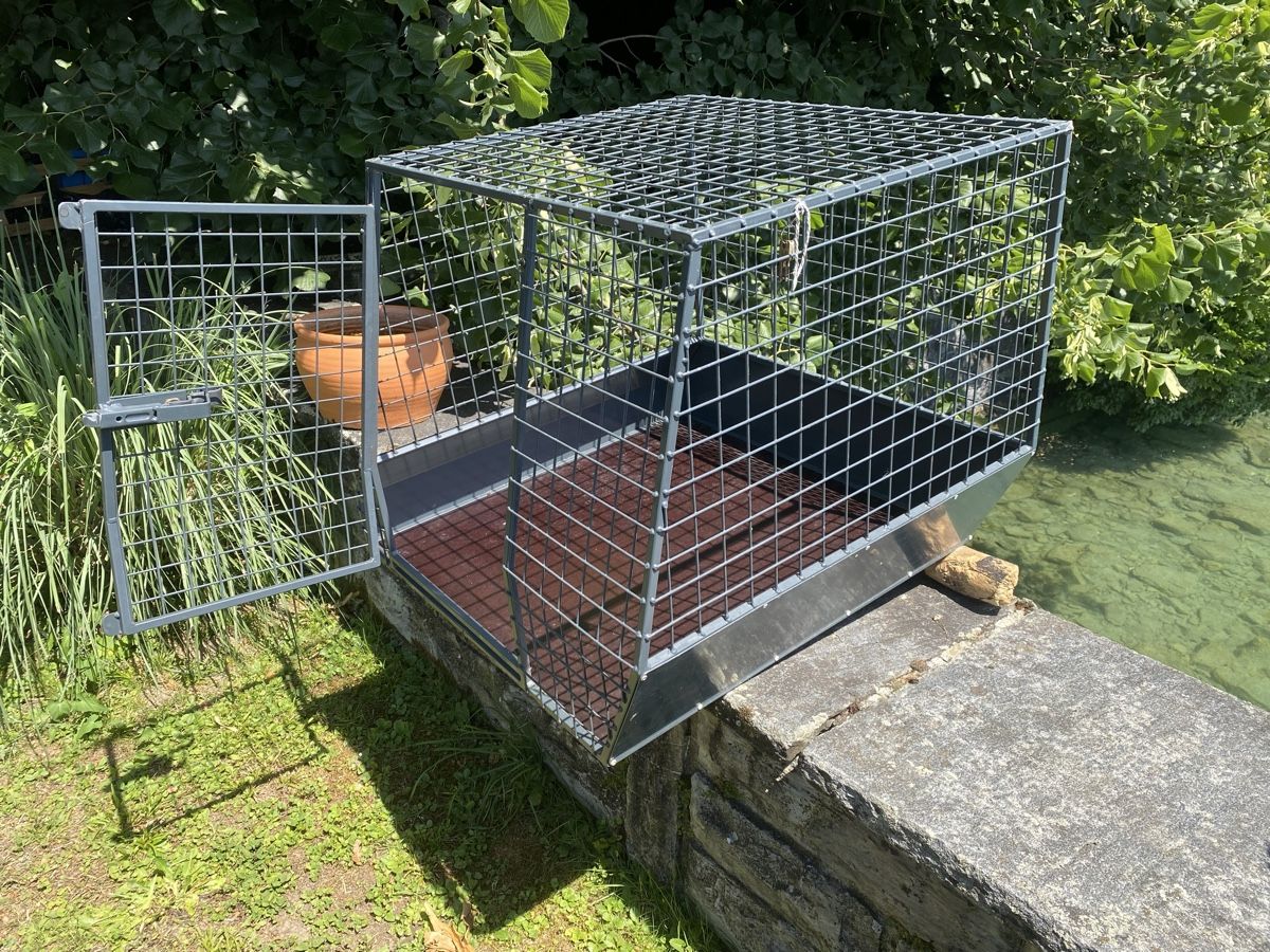 Gabbie, trasporto & Sicurezza: Hundebox Autobox Metall stabil – Usato da Merligen venduto da shalimar64 2
