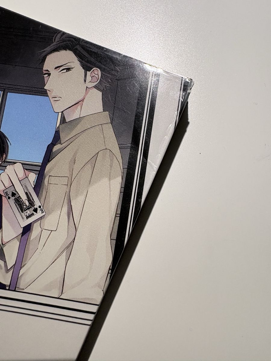 Fumetti: Manga Yaoi : Caste Heaven - Volume 1 – Usato da Cortaillod venduto da aaron23 4