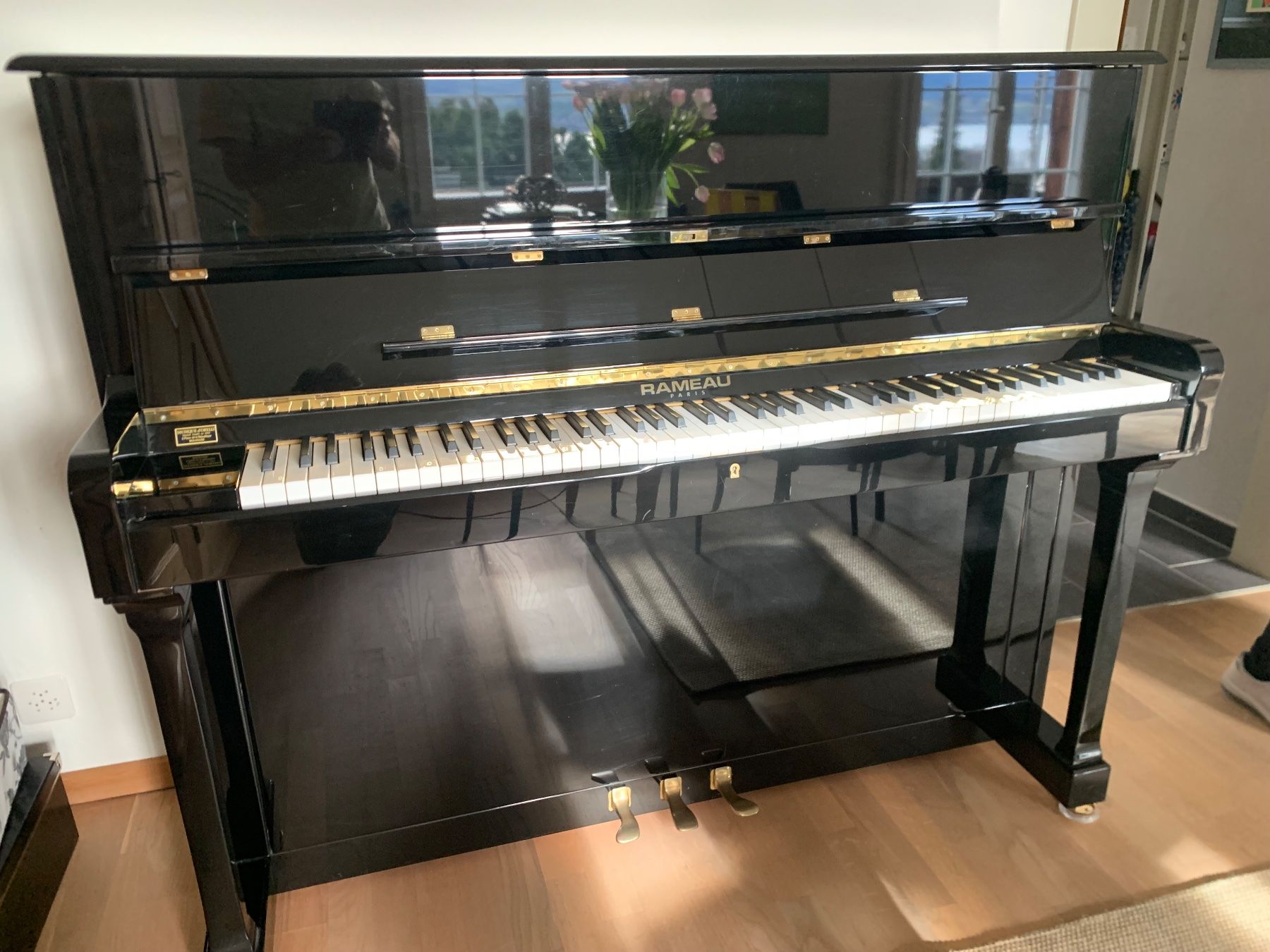 Strumenti musicali: Klavier Rameau Royal – Usato da Hünibach venduto da Cp30 1