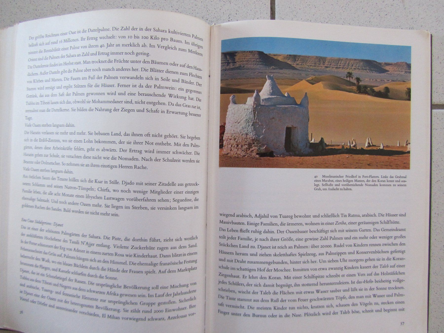 Libri: Sahara - Silva Buch von 1969 – Usato da Weiningen ZH venduto da dietsch57 7