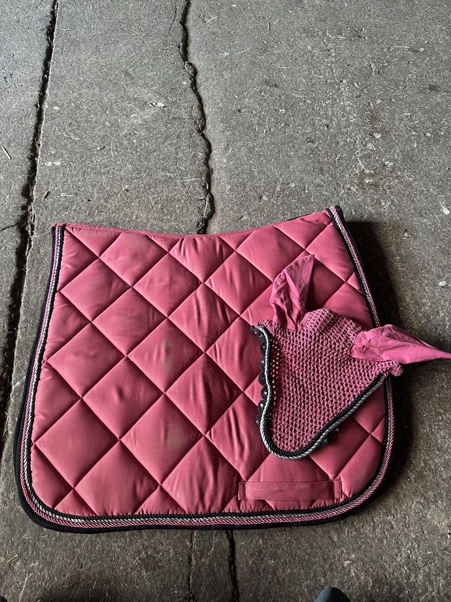 Coperte: Schabracke mit Ohrengarn – Usato da Thalwil venduto da jen_d587
