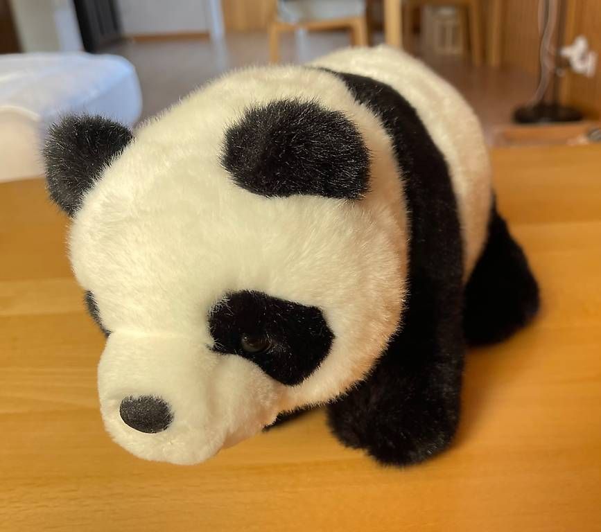 Giocattoli: Plüschtier "Panda", Neu – Nuovo (secondo la descrizione) da Kriens venduto da Angie88 2