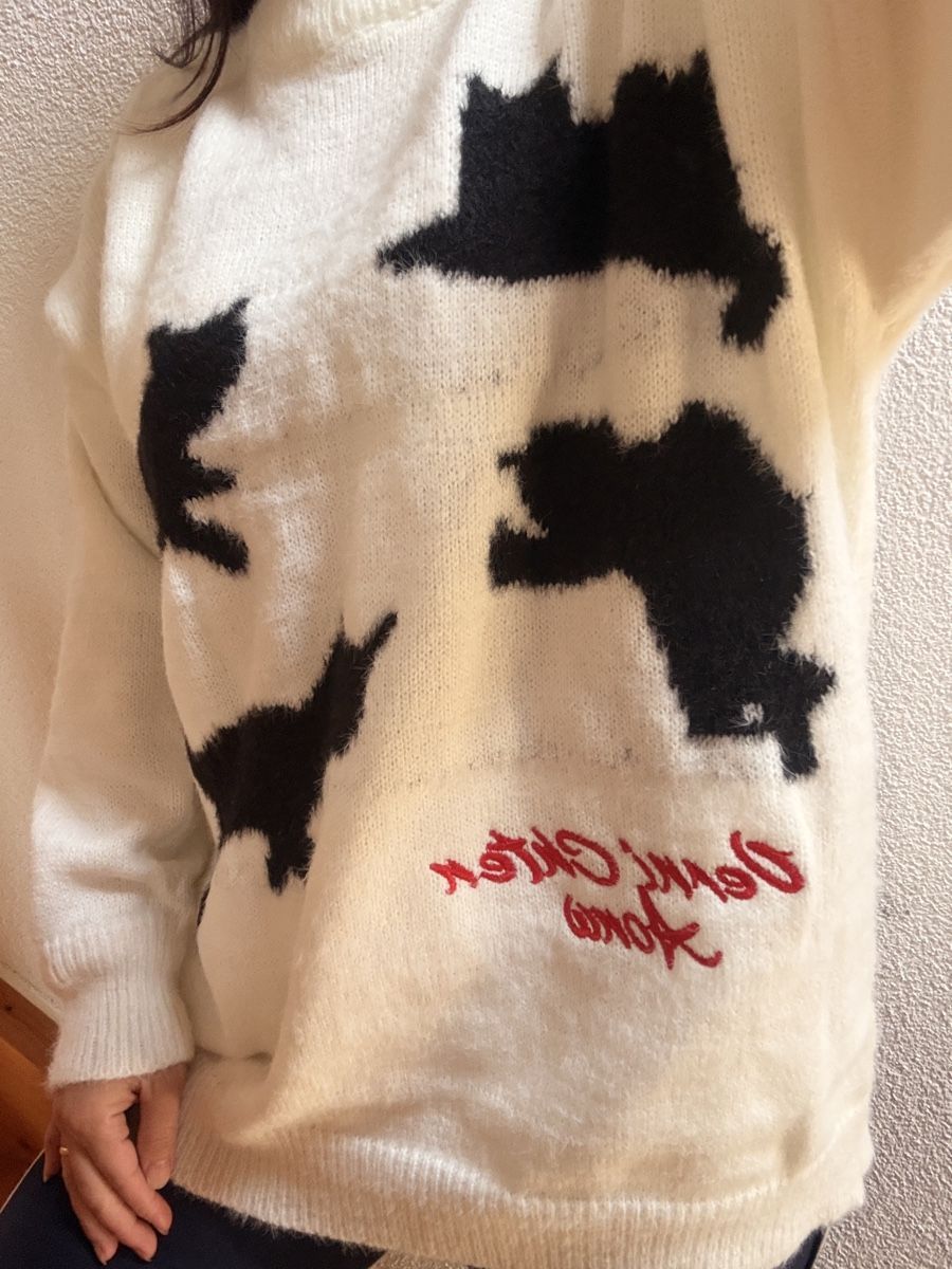 Pulls & Sweat-shirts: Cute Pullover S/M – Neuf avec emballage d'origine à Amlikon-Bissegg par Rose_Rose 3