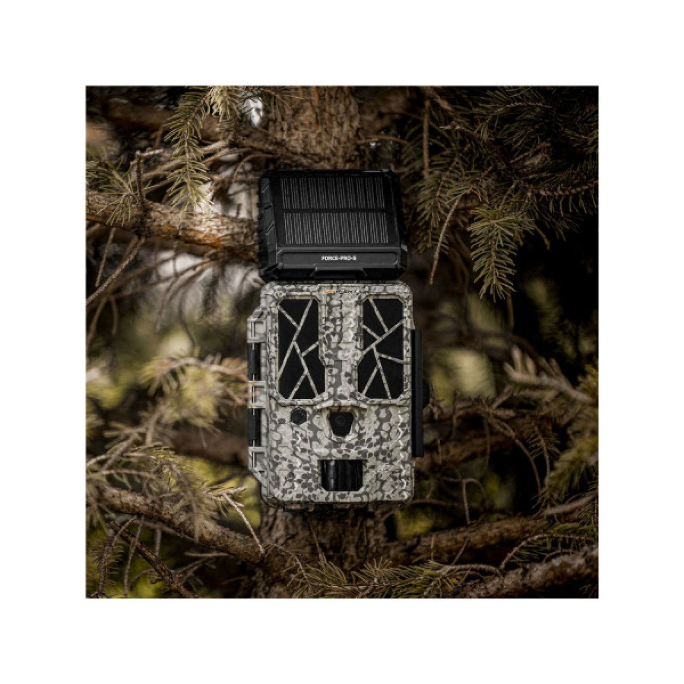Fotocamera: SPYPOINT Force-Pro-S Wildtierkamera – Nuovo e nell'imballaggio originale da Balsthal venduto da allmedba 6