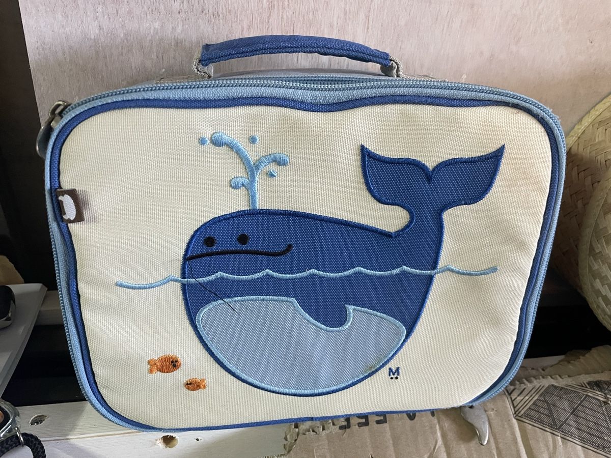 Frigoriferi & Refrigeratori: Kleine Kühltasche ca 30x20x15  – Usato da Wattwil venduto da Weinachtsmann