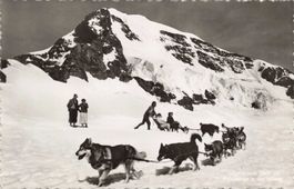 Jungfraujoch polarhunde monch Schlittenhunde