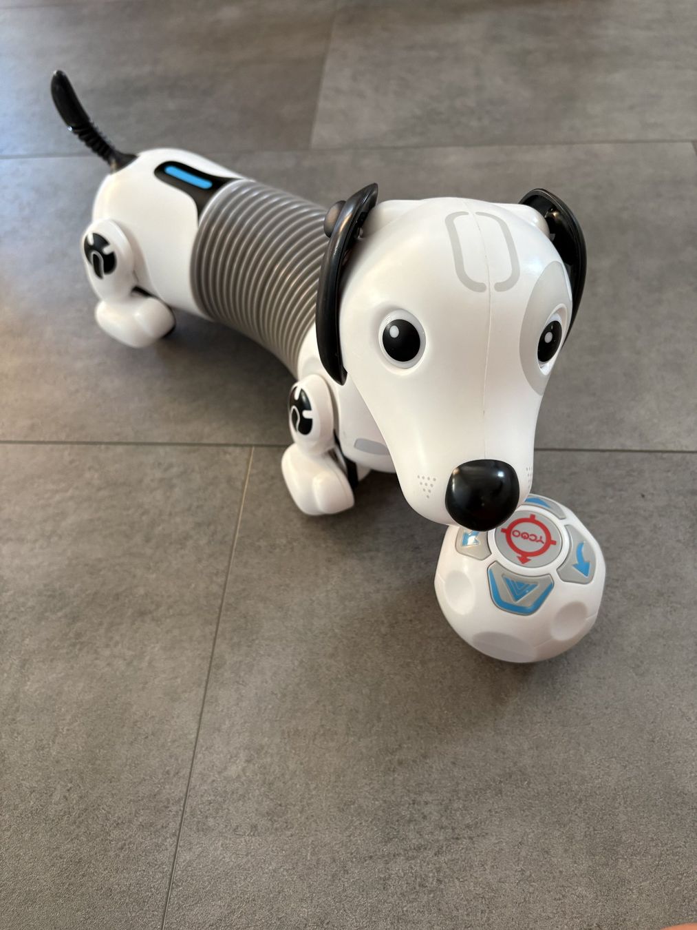 Giocattoli: Spielhund ferngesteuert – Usato da Arnegg venduto da hausspatz