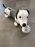 Spielhund ferngesteuert