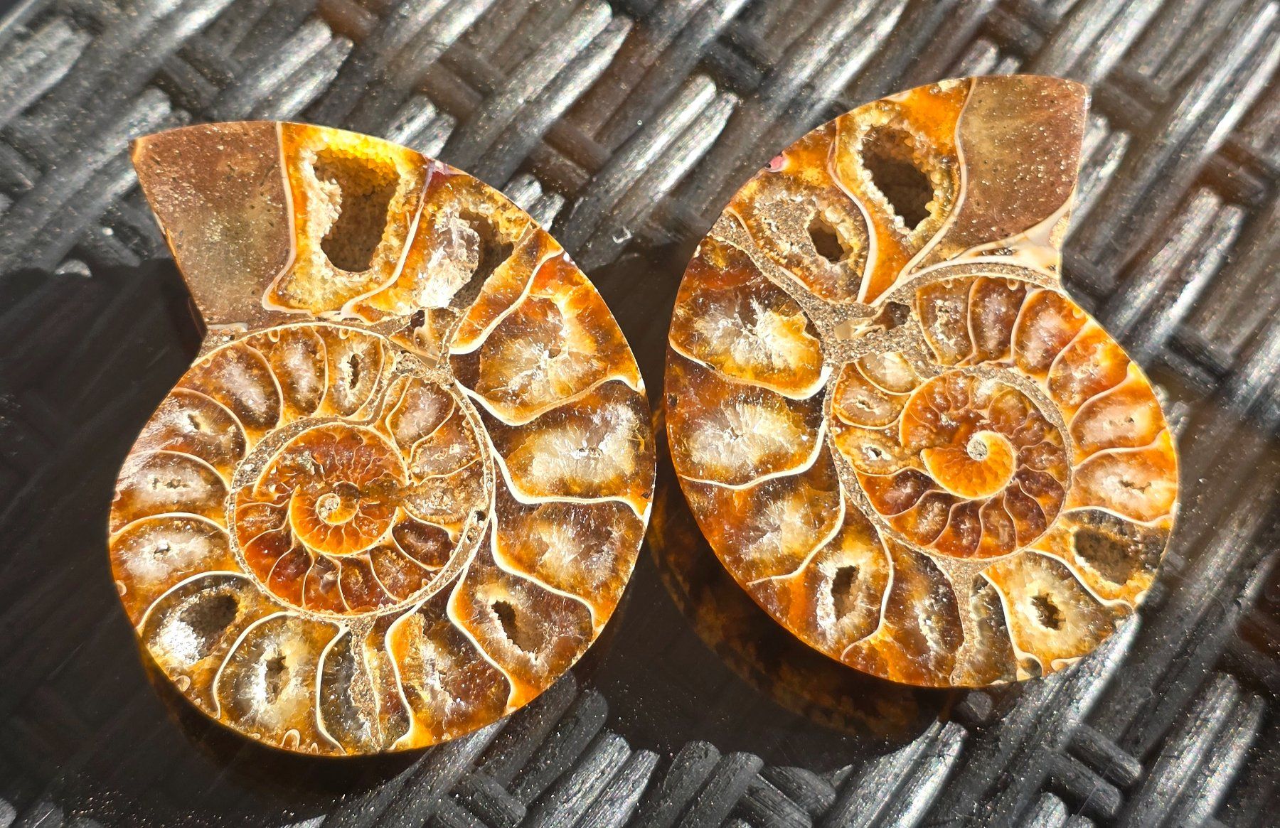 Fossili: Ammoniten Paar P8 118g – Nuovo e nell'imballaggio originale da Matzingen venduto da Shay_Crystalz