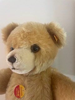 Steiff Giocattoli: Bär original Steiff (Brummbär) – Usato da Muri b. Bern venduto da dan_ss82 1