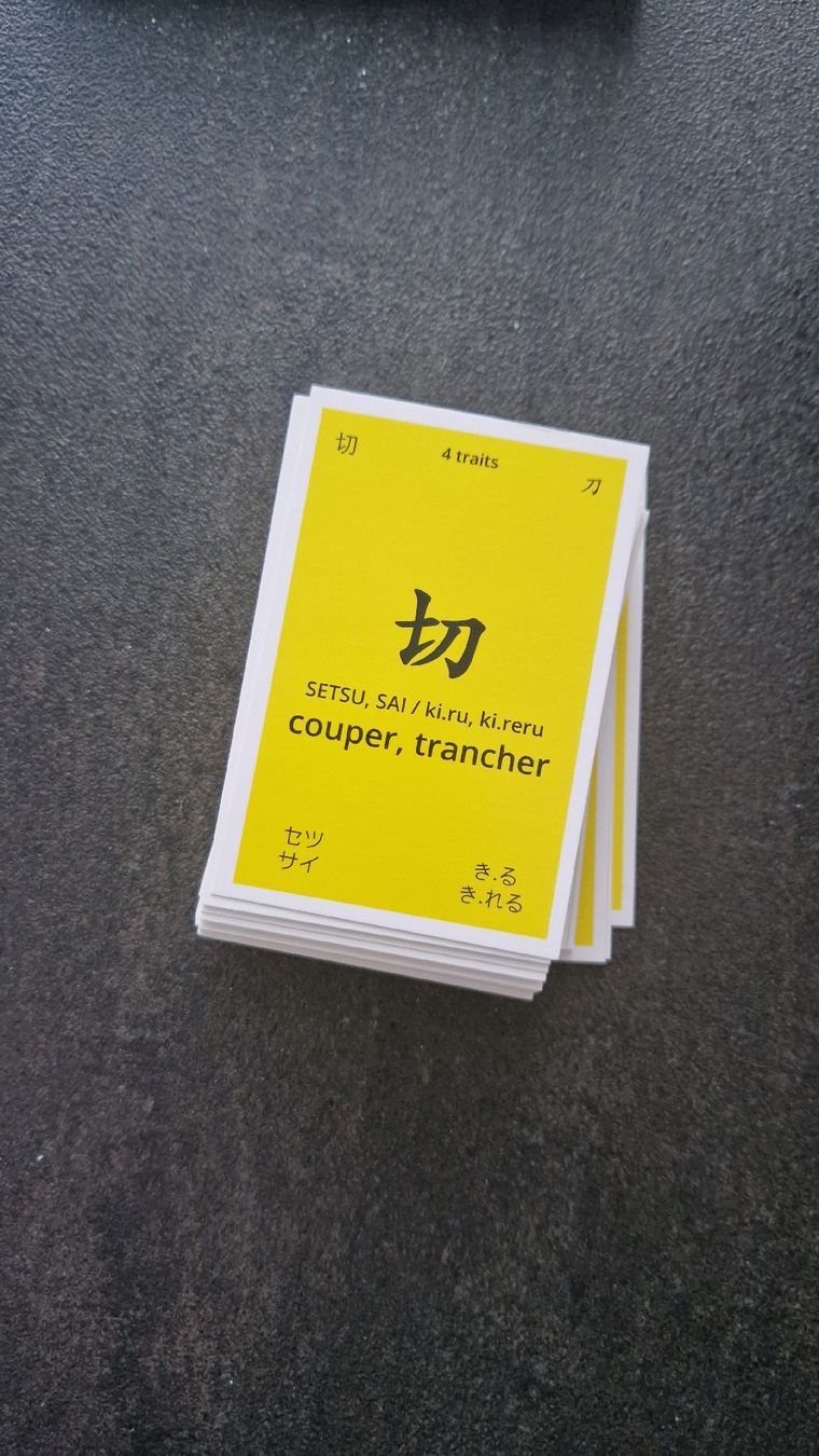 Libri: le japonais pour les nuls – Usato da altishofen venduto da Nippo 2