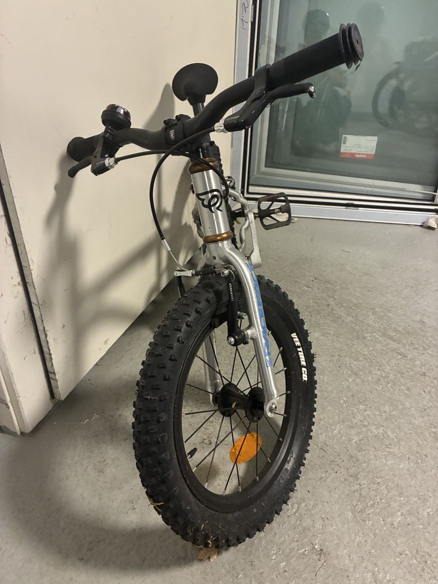 Early Rider Biciclette: Early rider 16 – Usato da Basel venduto da pai_tr5y 3