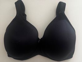BH Gr. 75F Felina