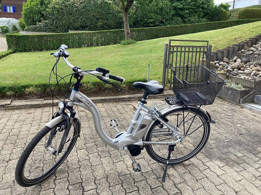 Vélos: Ebike Fyler mit 2 Akku – D'occasion à Bronschhofen par Timi.g