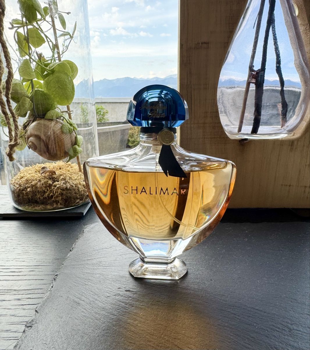 Guerlain Profumi & Eau de Toilette: Shalimar Eau de Parfum 90ml Damenparfum NEU – Nuovo (secondo la descrizione) da Eschenbach SG venduto da Kitka01 1