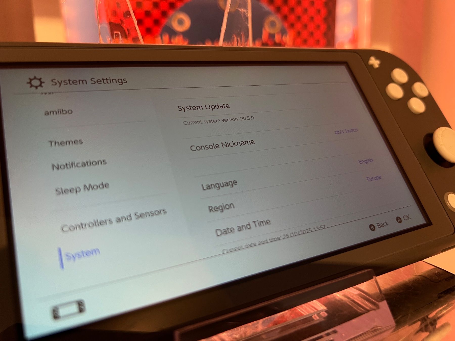 Nintendo Console: Switch Lite - Wie Neu – Usato da Zürich venduto da rg_swiss 1