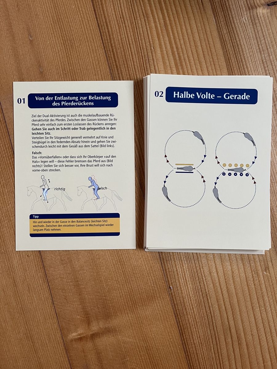 Libri: Geitners  Dual-Kit Trainingskarten Pferd – Nuovo (secondo la descrizione) da Ogens venduto da lau_z665 1