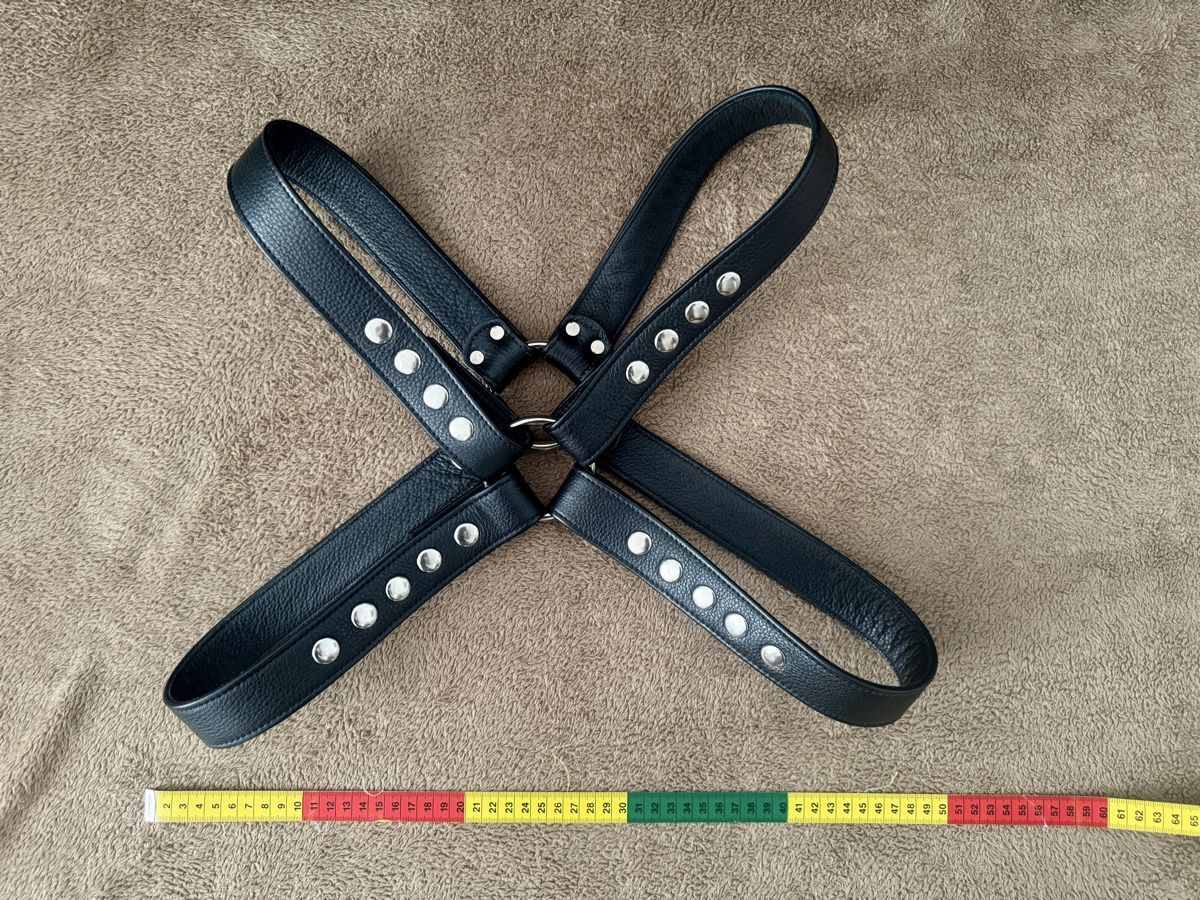 Zubehör: Leder Harness – Neu (gemäss Beschreibung) aus Zürich von svebre99