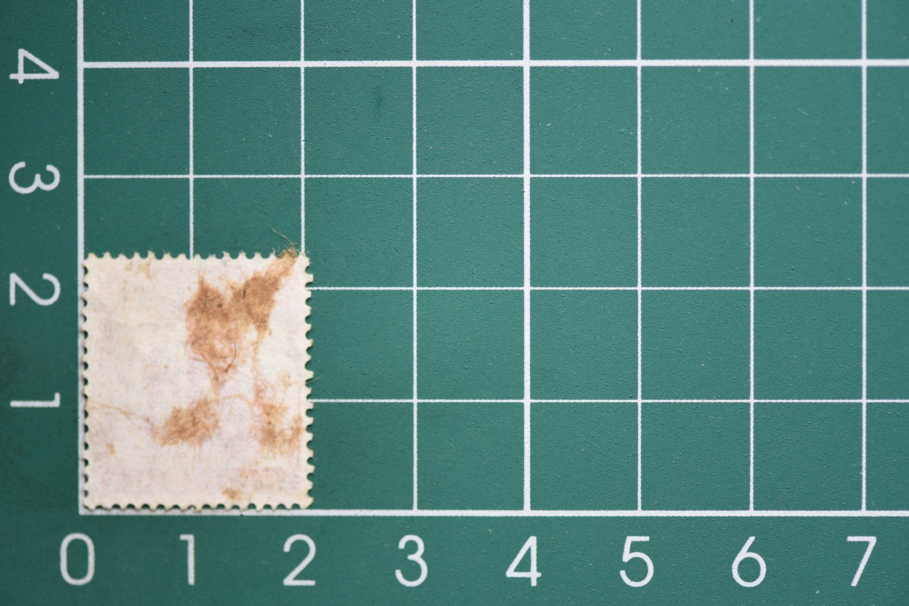 Tous les timbres: india stamp – D'occasion à Laupen BE par Gufi57 1