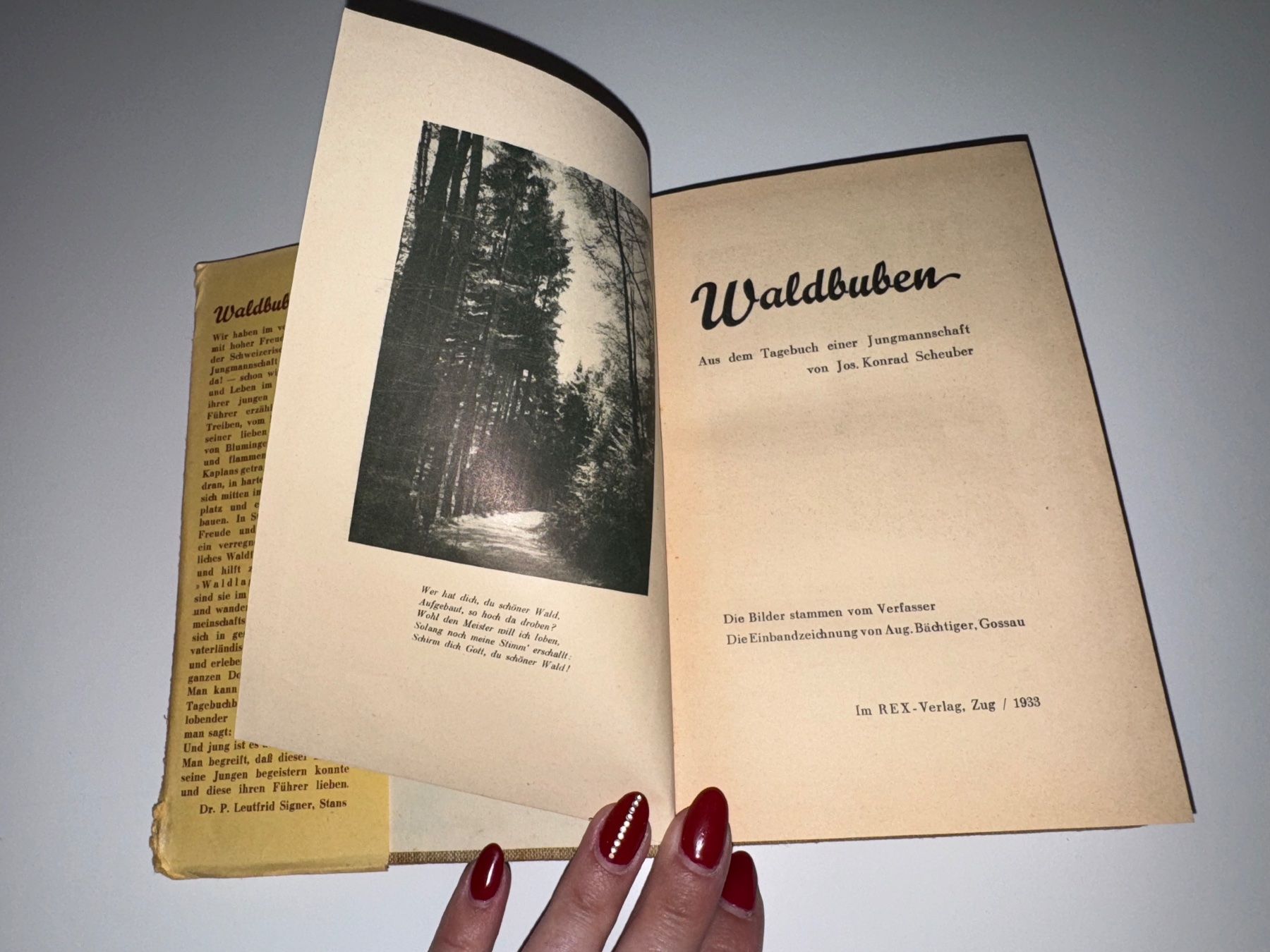 Libri: BUCH: Josef Konrad Scheuber, Waldbuben – Usato da Grosswangen venduto da Second_hand_paradise 3