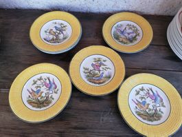 9 assiettes anciennes DIGOIN