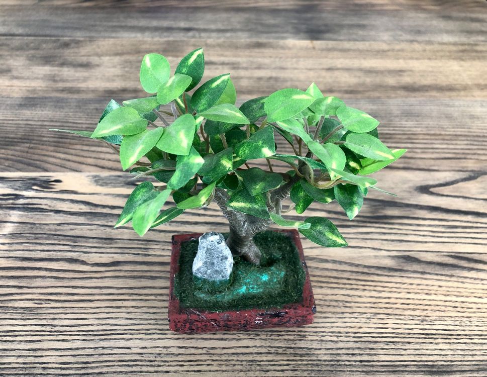 Dekorativer Bonsai Baum / Zen Garten Kaufen auf Ricardo