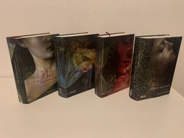 Twilight Saga Hardcover Set – sehr guter Zustand