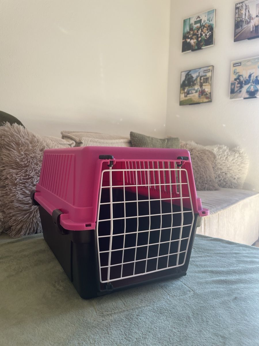 Niches, paniers: Katzentransportbox – D'occasion à Toffen par jes_76l5