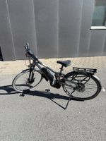 Flyer TX 7.70 HS - 45km/h