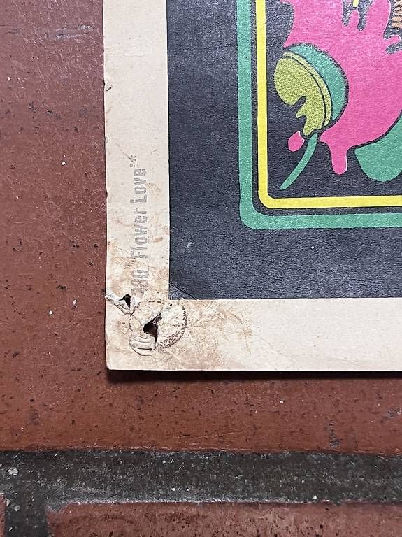 Foto & Immagini: Vintage Poster Flower Love – Usato da Zürich venduto da maurice5000 1