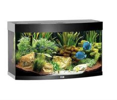 Aquarium Juwel Vision 180