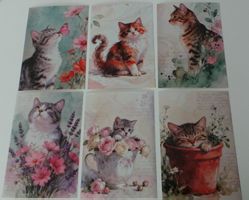 6 Postkarten mit süssem Katzenmotiv